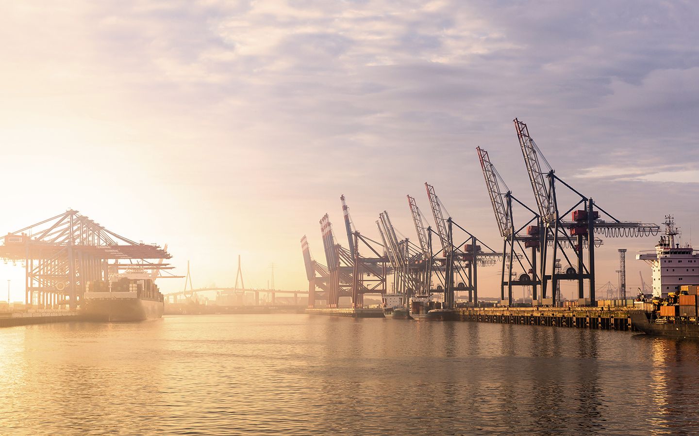 Energy & Natural Resources